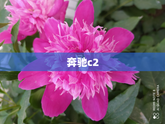奔驰c2