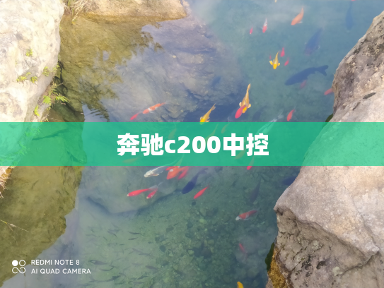 奔驰c200中控