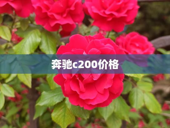 奔驰c200价格