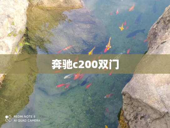 奔驰c200双门