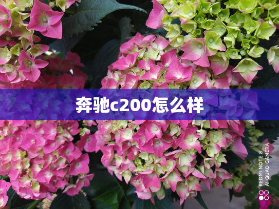 奔驰c200怎么样