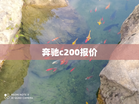 奔驰c200报价