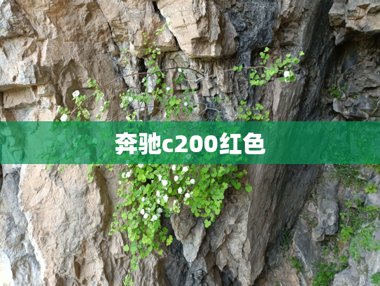奔驰c200红色