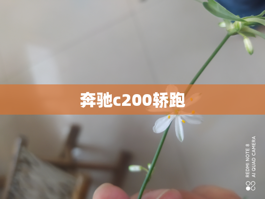 奔驰c200轿跑