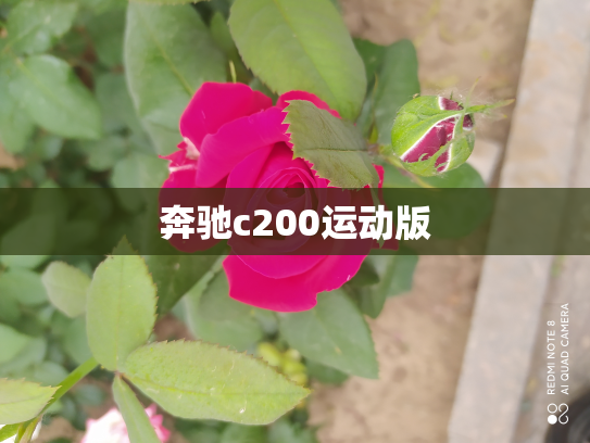 奔驰c200运动版