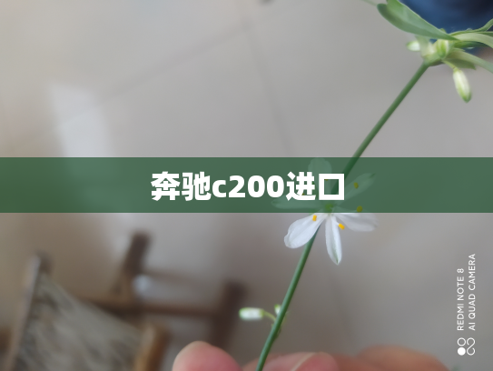 奔驰c200进口