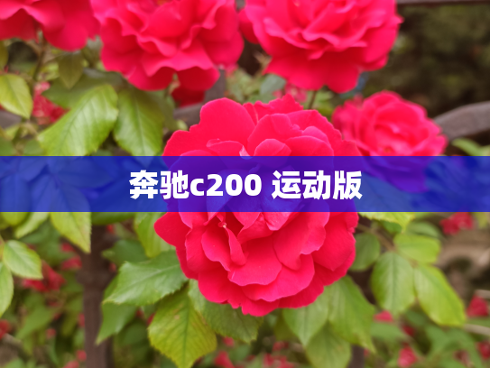 奔驰c200 运动版