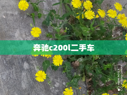 奔驰c200l二手车