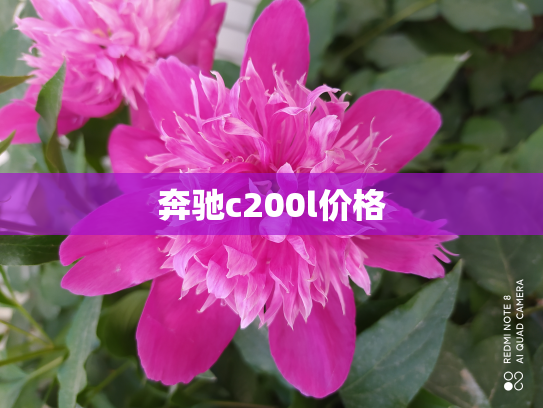 奔驰c200l价格