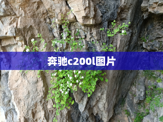 奔驰c200l图片