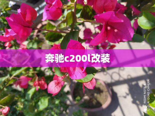 奔驰c200l改装