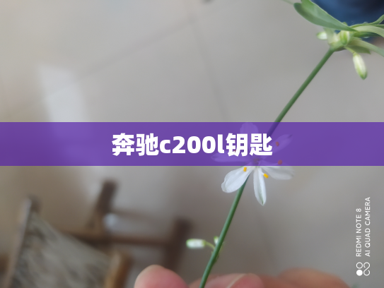 奔驰c200l钥匙