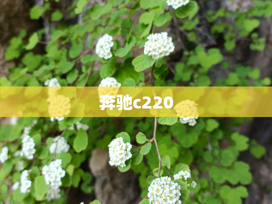 奔驰c220