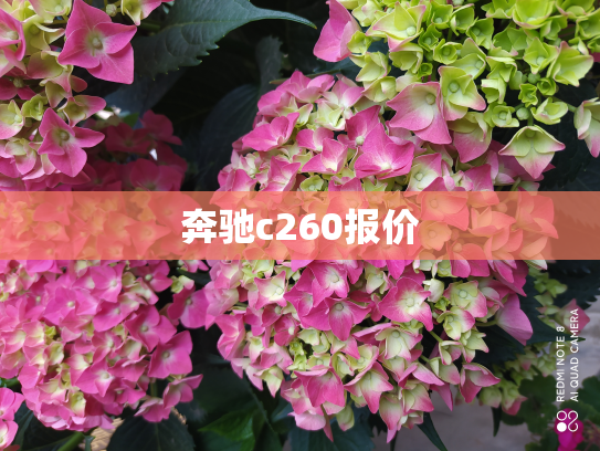 奔驰c260报价