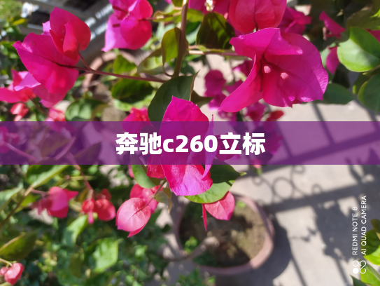 奔驰c260立标