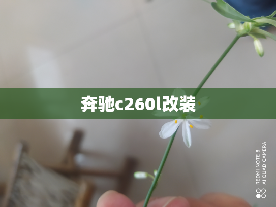 奔驰c260l改装