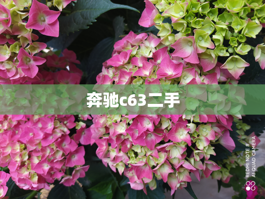 奔驰c63二手