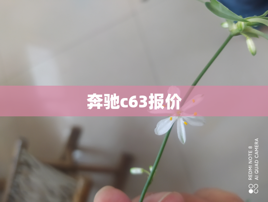 奔驰c63报价