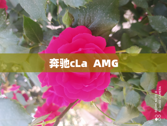 奔驰cLa  AMG
