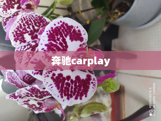 奔驰carplay