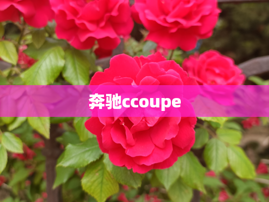 奔驰ccoupe