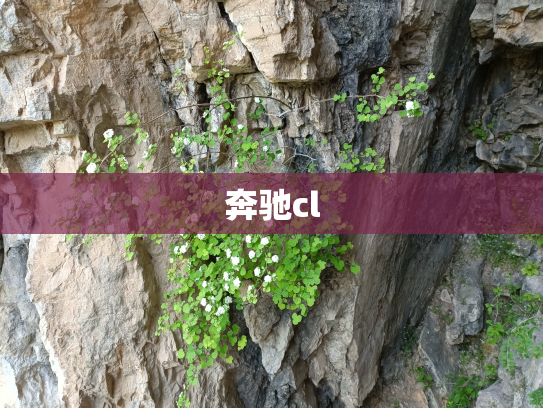 奔驰cl
