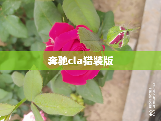 奔驰cla猎装版