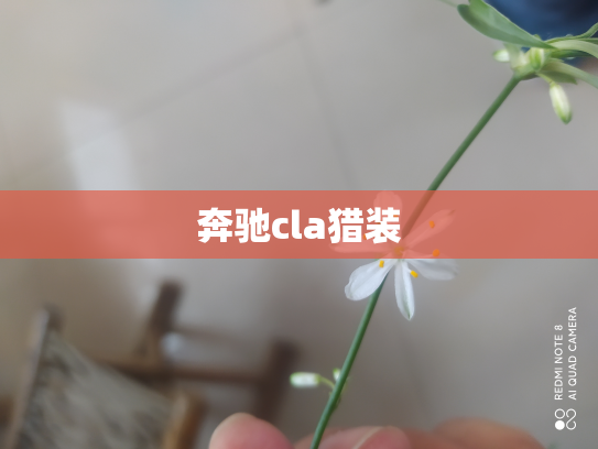 奔驰cla猎装