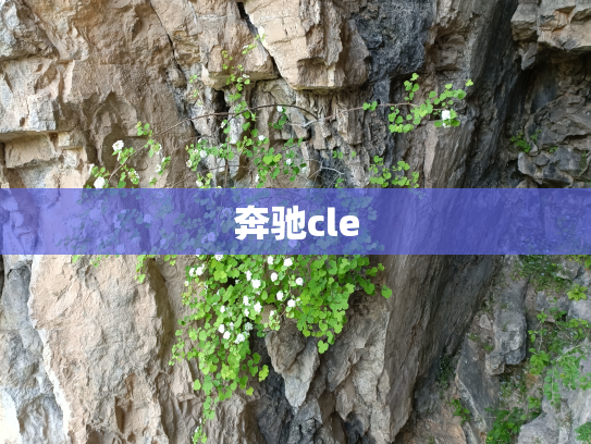奔驰cle