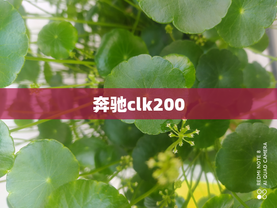 奔驰clk200