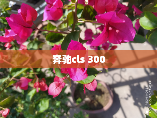奔驰cls 300