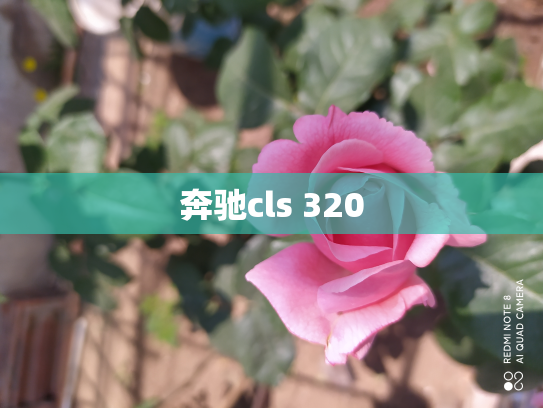 奔驰cls 320