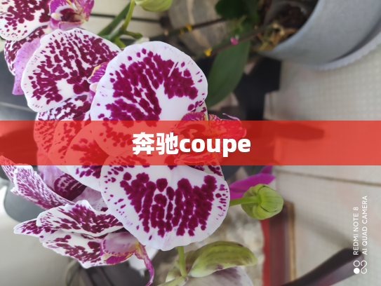 奔驰coupe