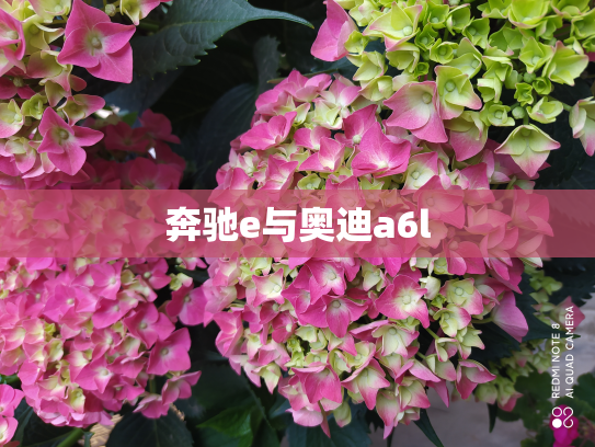 奔驰e与奥迪a6l