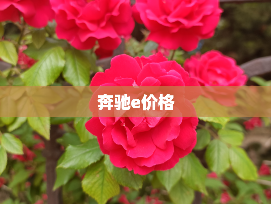 奔驰e价格