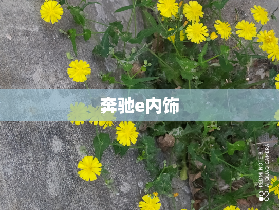 奔驰e内饰