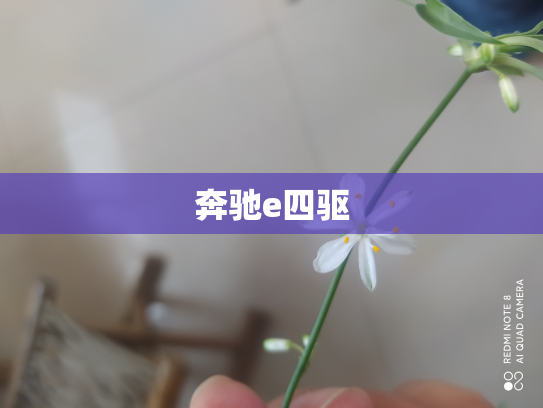 奔驰e四驱