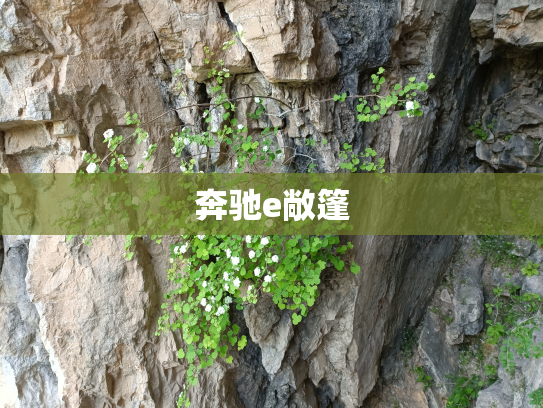 奔驰e敞篷
