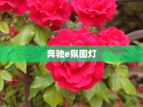 奔驰e氛围灯