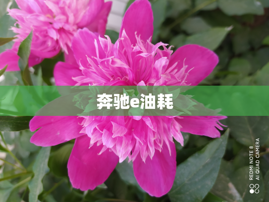 奔驰e油耗