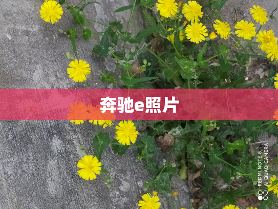 奔驰e照片