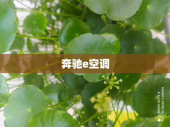 奔驰e空调
