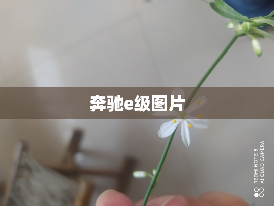 奔驰e级图片