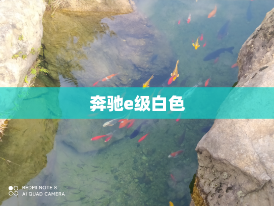 奔驰e级白色
