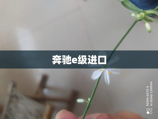 奔驰e级进口