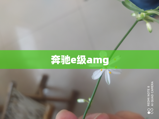 奔驰e级amg