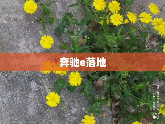 奔驰e落地