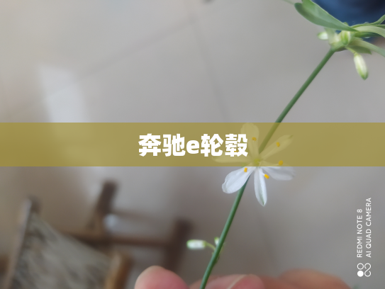 奔驰e轮毂