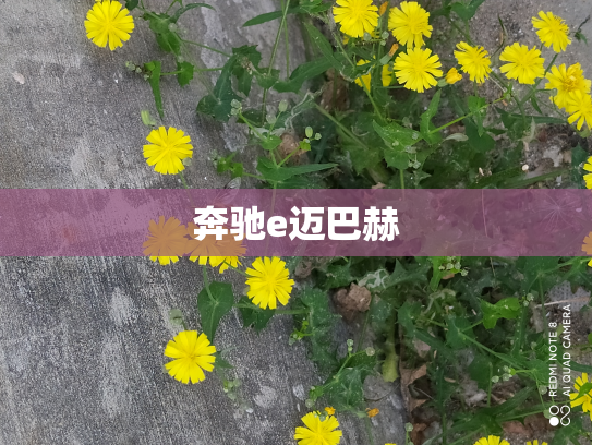 奔驰e迈巴赫
