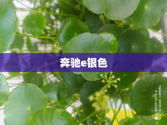 奔驰e银色